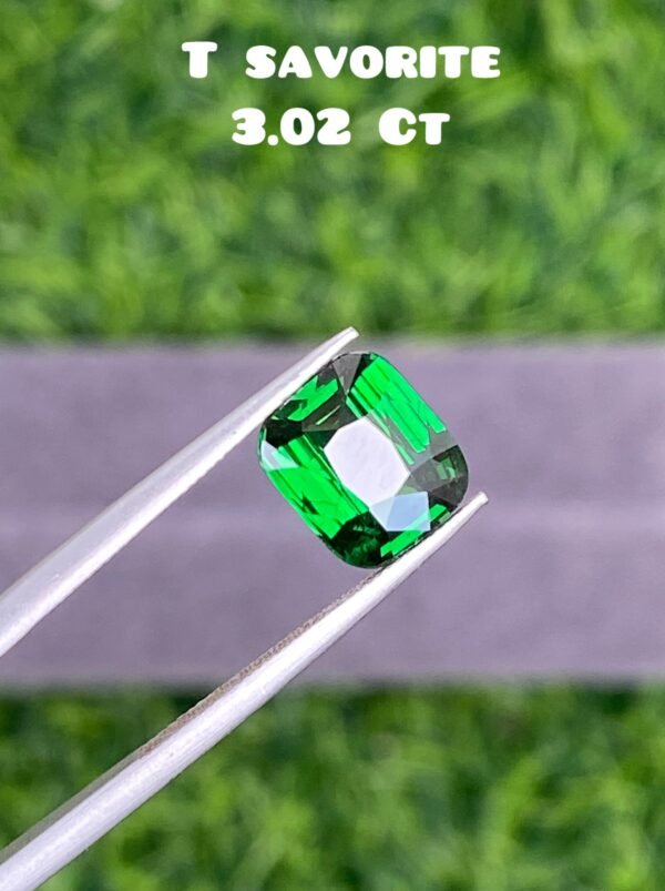 T SAVORITE 3.02 CT
