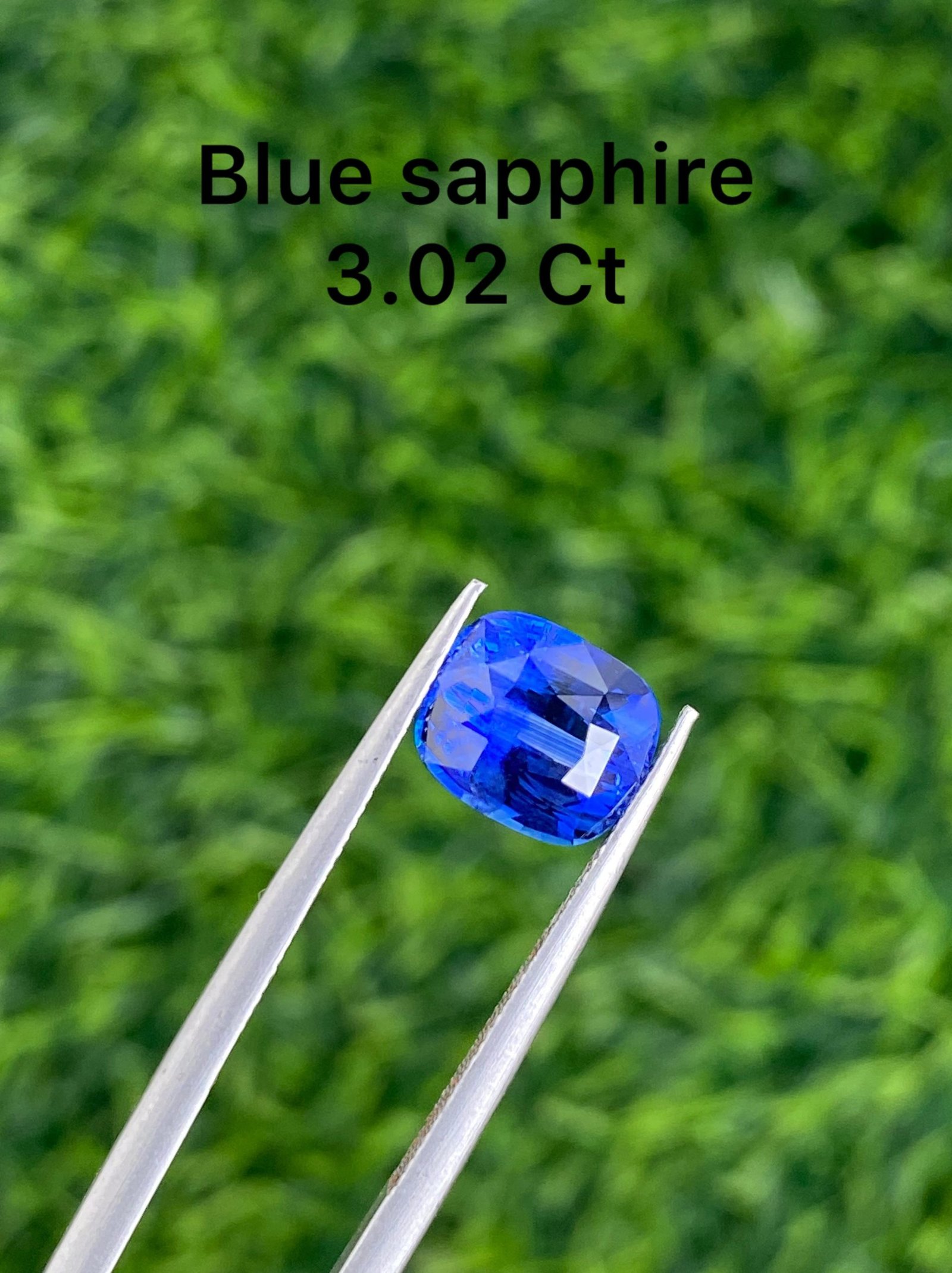 BLUE SAPPHIRE (H) 3.02 CT