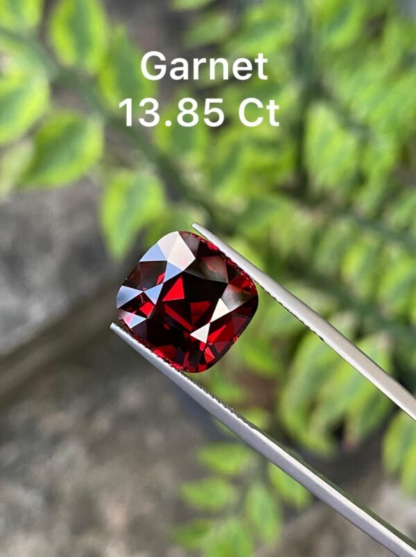 GARNET 13.85 CT