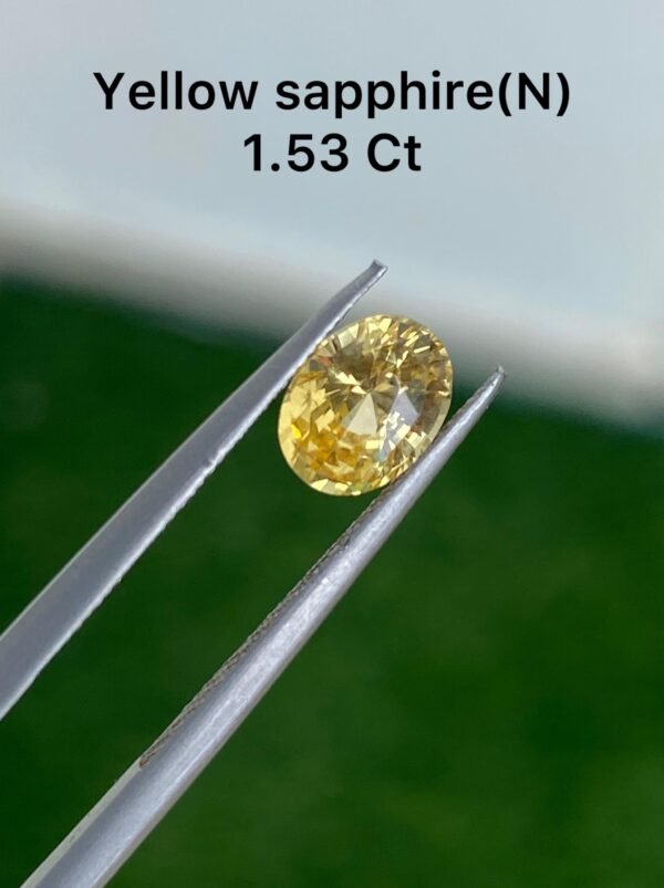 YELLOW SAPPHIRE (N) 1.53 CT